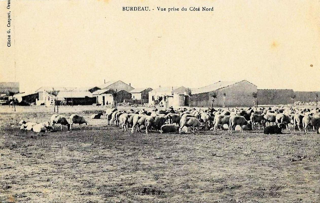 Burdeau - Vue du Cote Nord.jpg